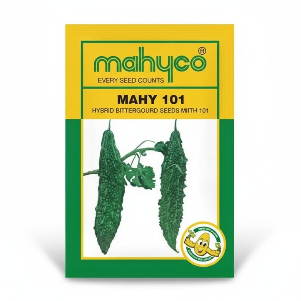 Mahyco MAHY 101 bitter gourd seeds producing dark green uniform high yield karela fruits suitable for commercial farming