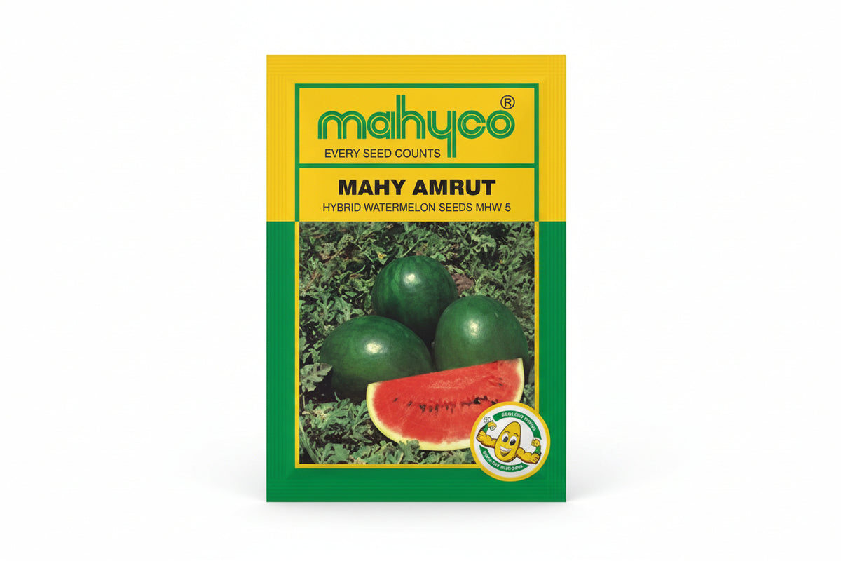 Mahyco Mahy Amrut MHW 5 hybrid watermelon seeds high yield sweet red flesh round oblong tarbooz seeds for farming and home gardening