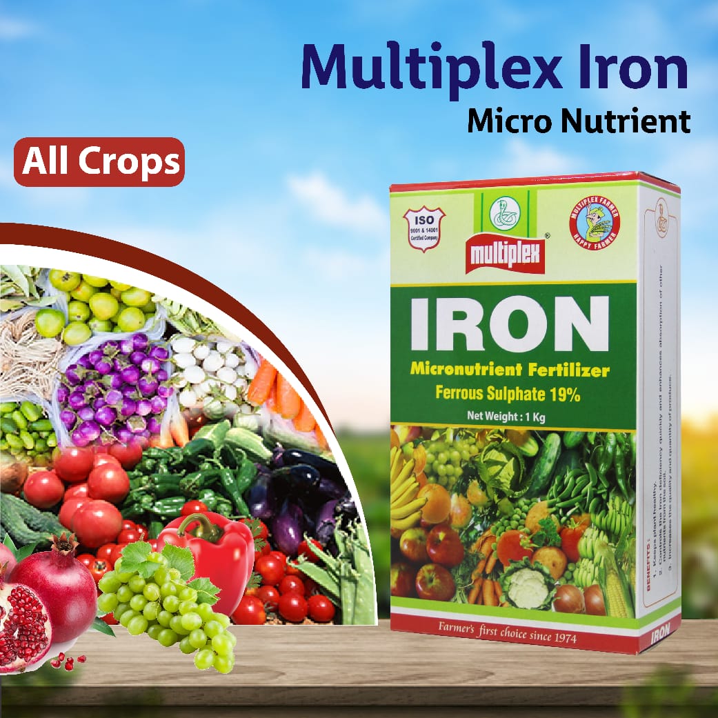 Multiplex Iron Ferrous Sulphate 19 percent micronutrient fertilizer for healthy green crop growth