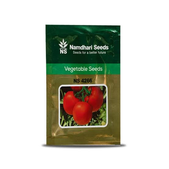 Namdhari NS 4266 F1 hybrid tomato seeds high yield round red tomato variety for commercial farming India