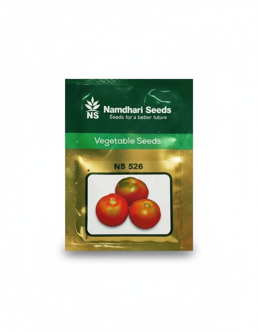 Namdhari NS 526 F1 hybrid tomato seeds high yield round red tomato variety for commercial farming India