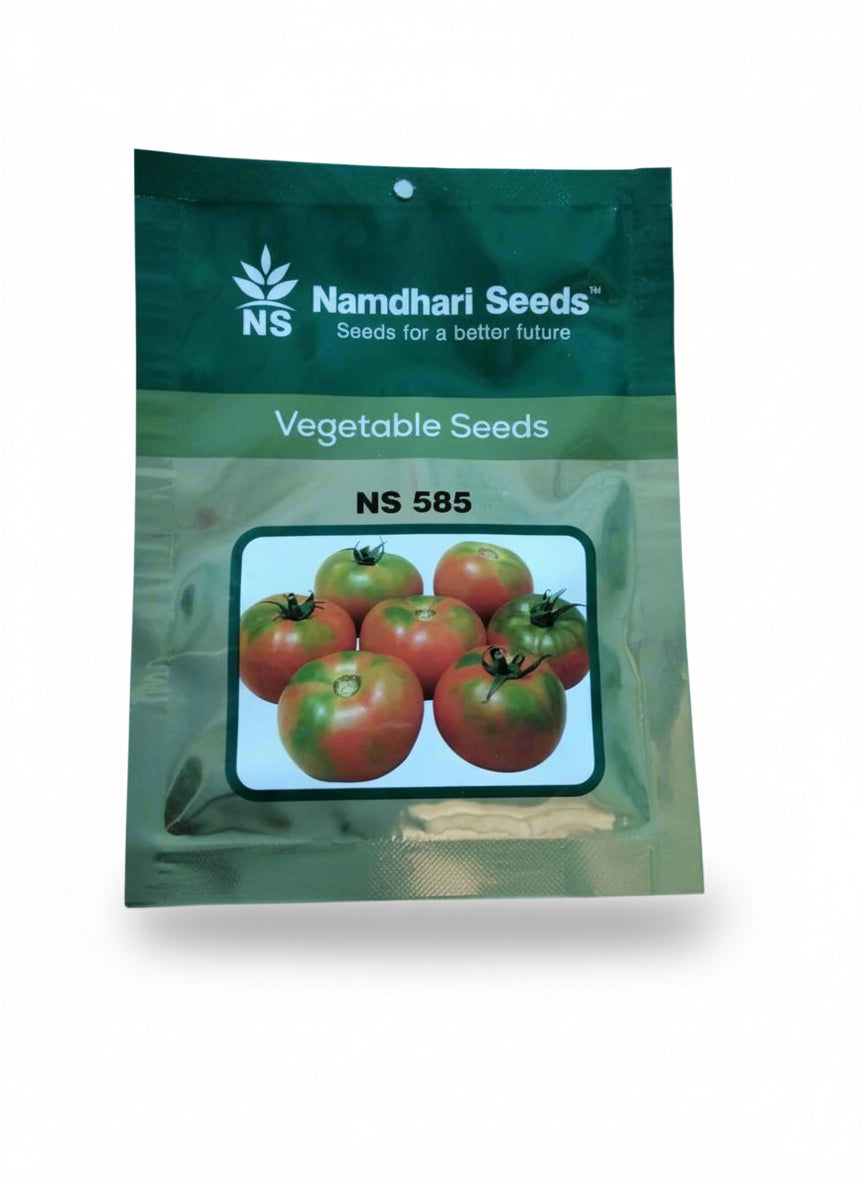 Namdhari NS 585 F1 hybrid tomato seeds high yield round red tomato variety for commercial farming India