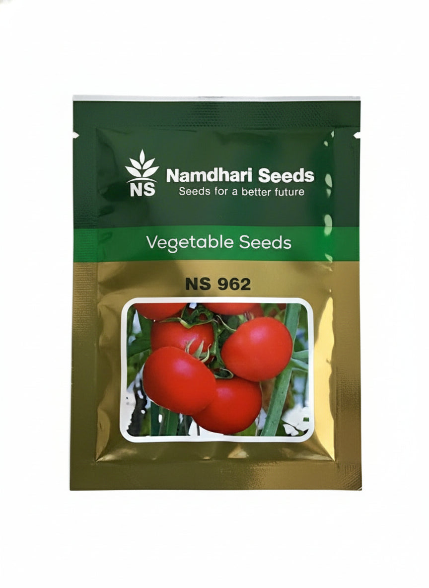 Namdhari NS 962 F1 hybrid tomato seeds high yield deep red firm tomato variety for commercial farming India