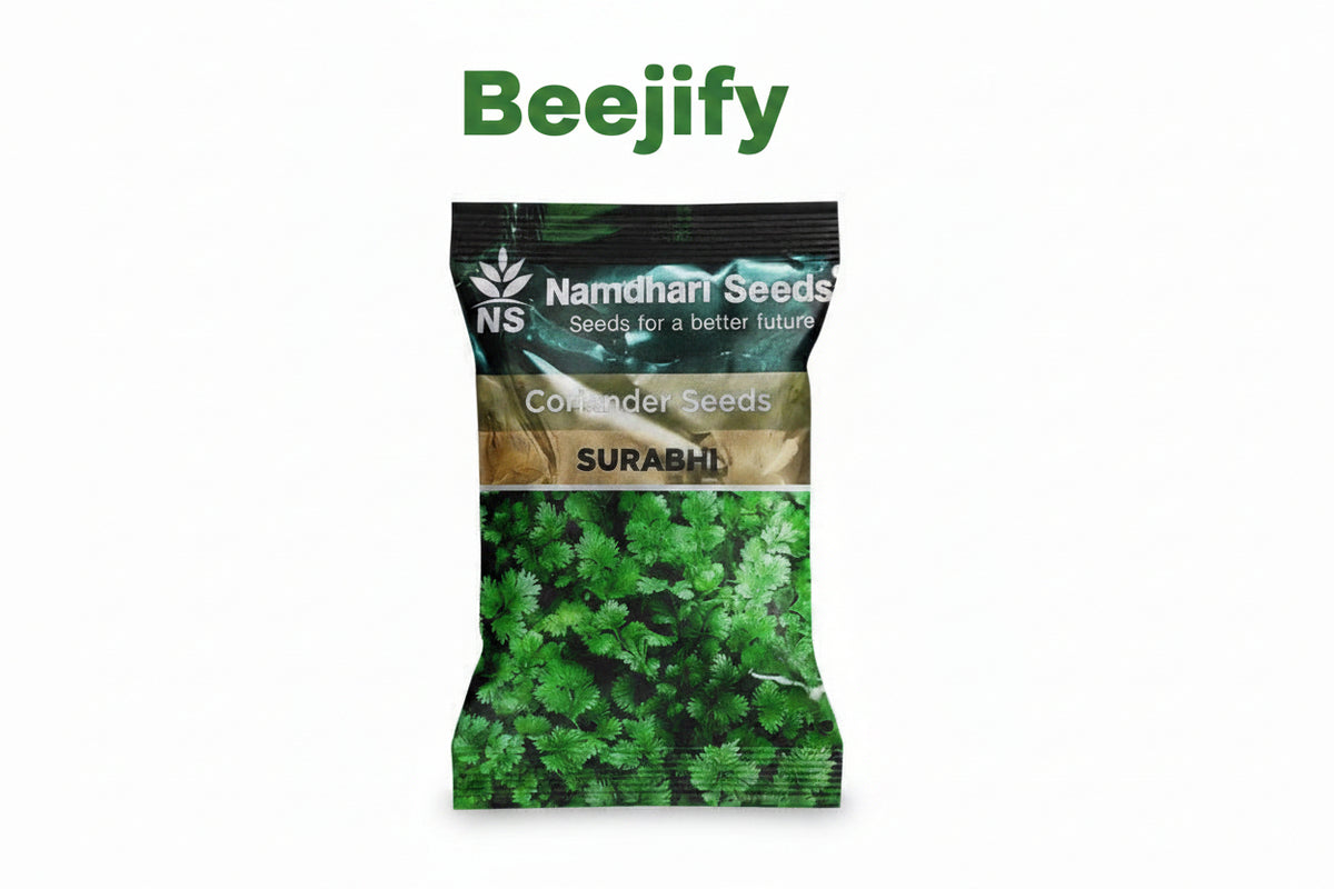 Namdhari Surabhi coriander seeds high yield aromatic dhaniya seeds for farming in India

Send next product 👍