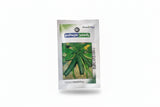 Pahuja Squash Champion seeds high yield cylindrical green squash variety for commercial farming and kitchen gardening India