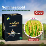 PI Nominee Gold Herbicide with Bispyribac Sodium for effective control of grassy weeds in paddy fields with selective post emergence action