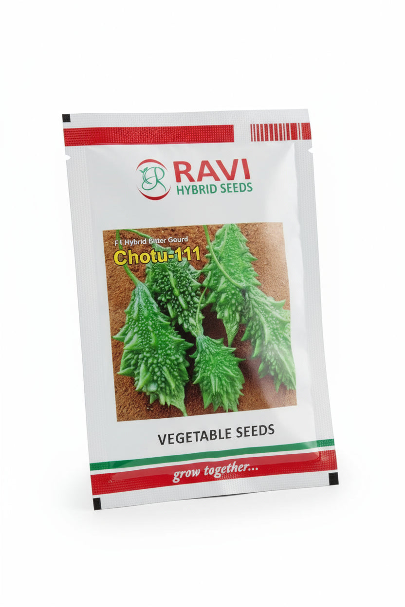 Ravi Chotu 11 bitter gourd seeds producing early high yield dark green uniform karela fruits suitable for farming