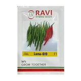 Ravi Luna-619 hybrid chilli seeds high yield green mirchi seeds for farming and commercial cultivation