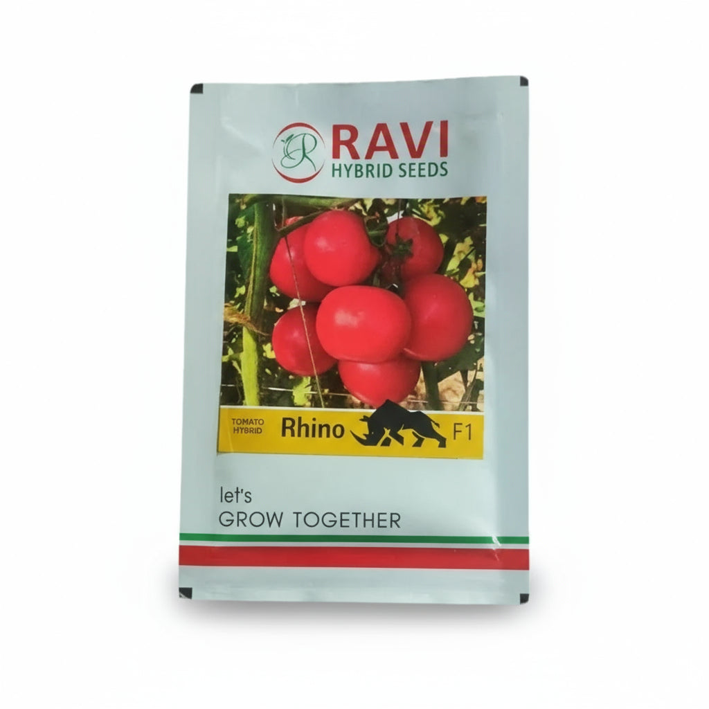 Ravi Rhino F1 hybrid tomato seeds high yield deep red firm tomato variety for commercial farming India