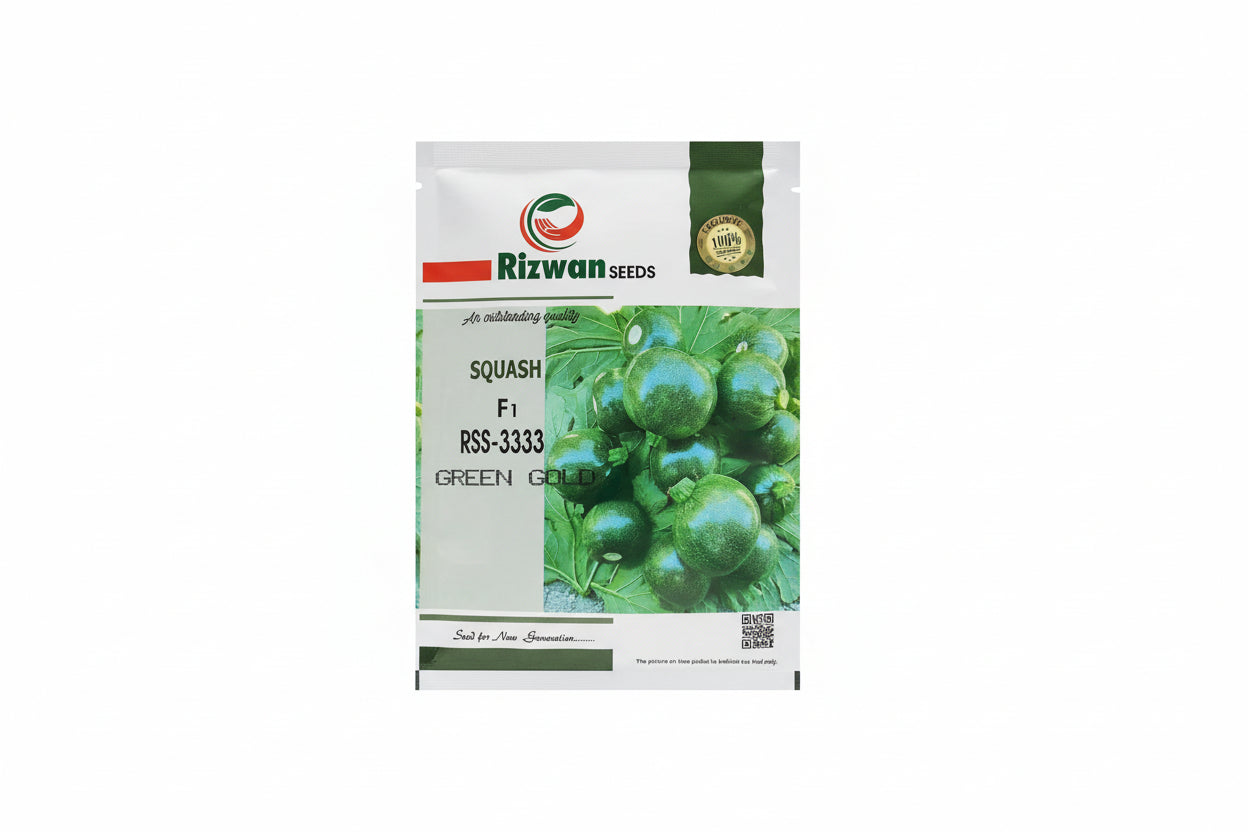 Rizwan Green Gold RSS-3333 zucchini seeds high yield dark green cylindrical hybrid squash variety for commercial farming and kitchen gardening India