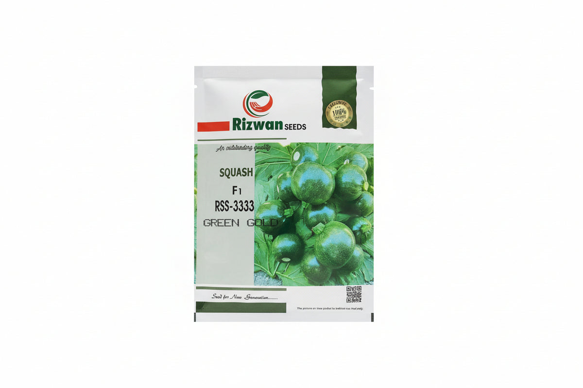 Rizwan Green Gold RSS-3333 zucchini seeds high yield dark green cylindrical hybrid squash variety for commercial farming and kitchen gardening India