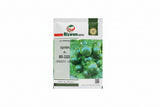 Rizwan Green Gold RSS-3333 zucchini seeds high yield dark green cylindrical hybrid squash variety for commercial farming and kitchen gardening India