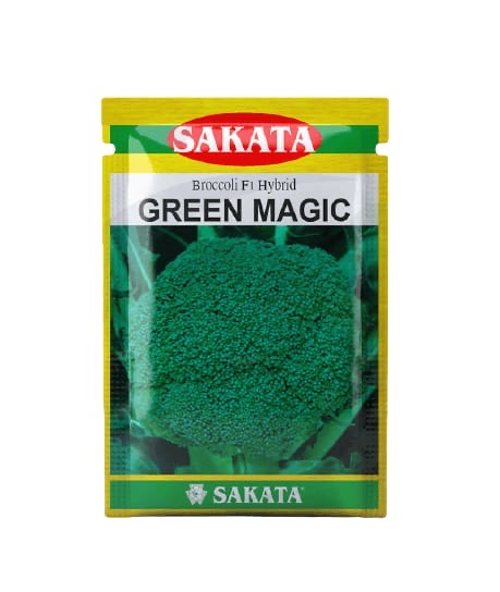 Sakata Green Magic broccoli seeds high yield premium large dark green compact head variety for commercial farming India