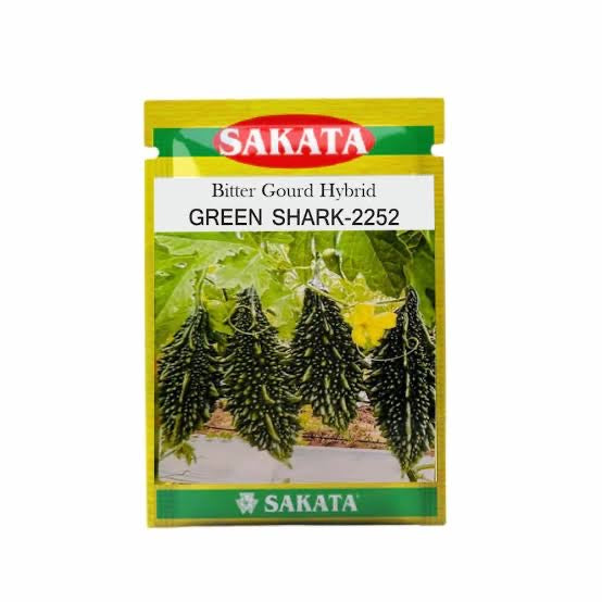 Sakata Green Shark 2252 bitter gourd seeds producing dark green uniform high yield karela fruits suitable for commercial farming