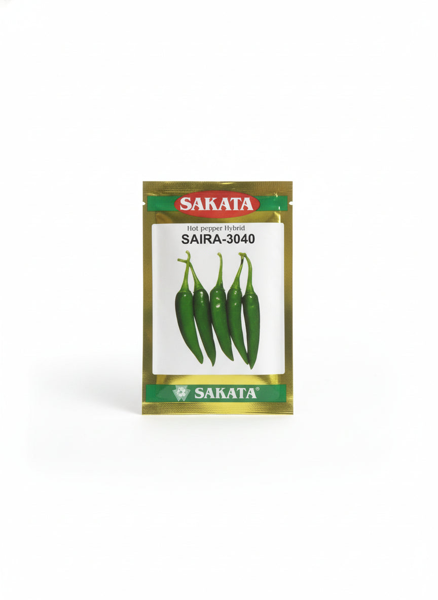 Sakata Saira-3040 hybrid chilli seeds high yield green mirchi seeds for commercial farming
