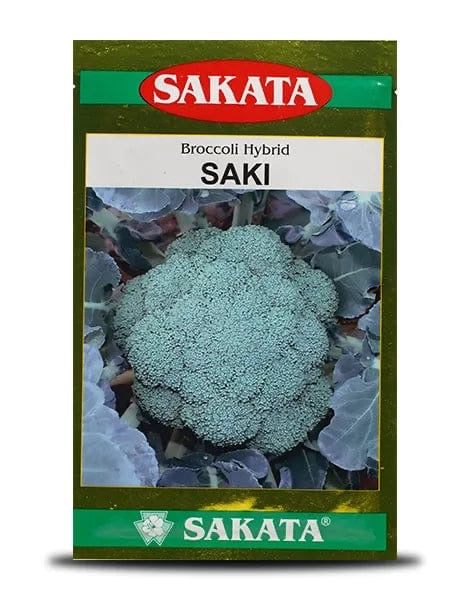 Sakata Saki broccoli seeds high yield compact dark green head variety for commercial farming and kitchen gardening India
