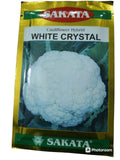 Sakata White Crystal F1 hybrid cauliflower seeds producing snow white compact curds early maturity high yield gobhi seeds