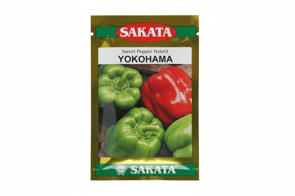 Capsicum Seeds Collection – High Yield Hybrid Shimla Mirch – Beejify