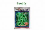SAKURA SSC-6 cowpea seeds high yield hybrid lobia seeds for farming in India