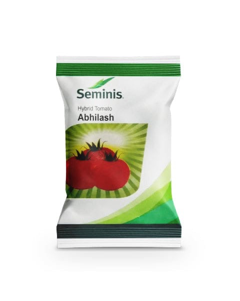 Seminis Abhilash F1 hybrid tomato seeds high yield round red tomato variety for commercial farming India