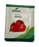 Seminis Abhiraaj F1 hybrid tomato seeds high yield round red tomato variety for commercial farming India