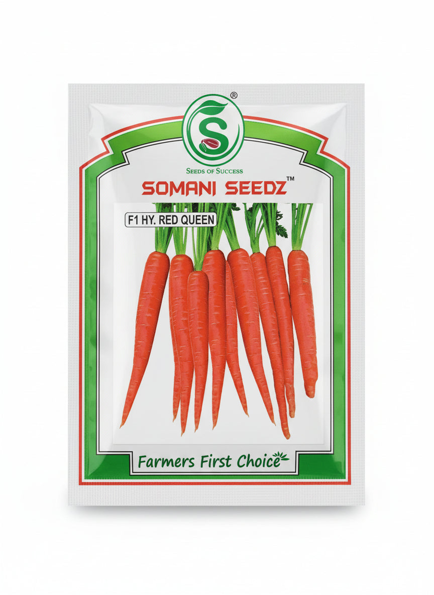 Somani Red Queen F1 Hybrid carrot seeds high yield red long smooth carrot seeds for farming and home gardening