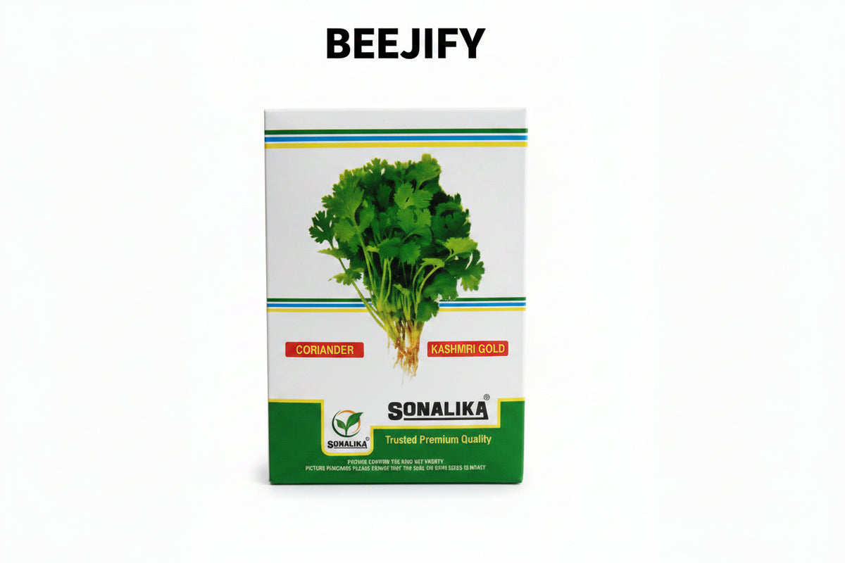 Sonalika Kashmiri Gold coriander seeds 500gm high yield aromatic dhaniya seeds for farming in India