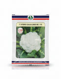 Sungro 110 F1 hybrid cauliflower seeds producing compact white curds ultra early maturity high yield gobhi seeds for farming
