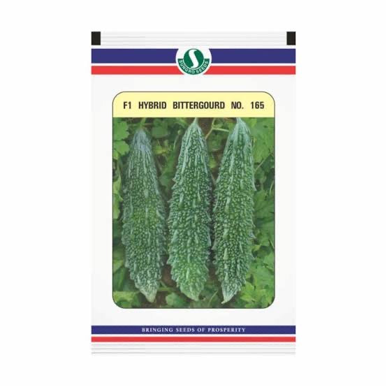 Sungro F1 Hybrid 165 bitter gourd seeds producing dark green uniform high yield karela fruits for farming
