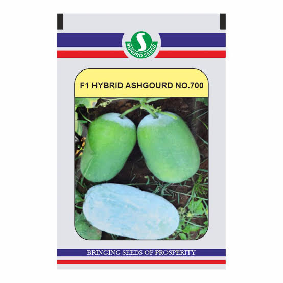 Sungrow Ashgourd No 700 seeds high yield safed petha ash gourd variety for commercial farming and kitchen gardening India
