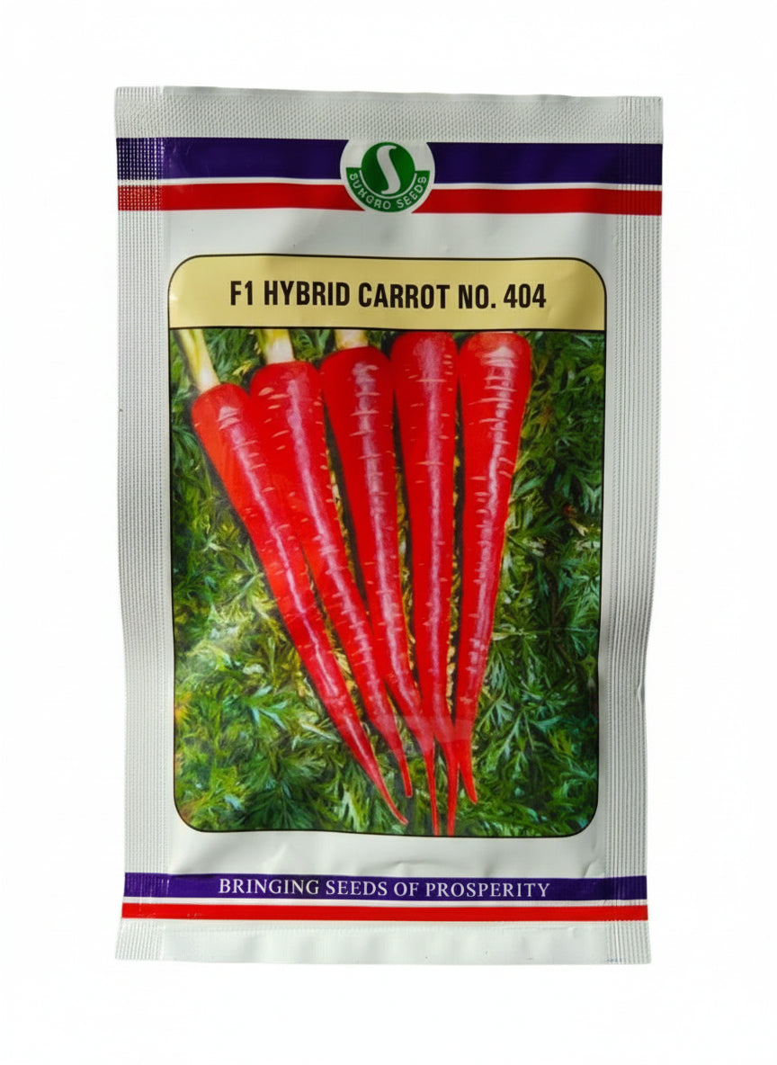 Sungrow Hybrid Carrot No 404 Seeds high yield orange long smooth carrot seeds for farming and home gardening