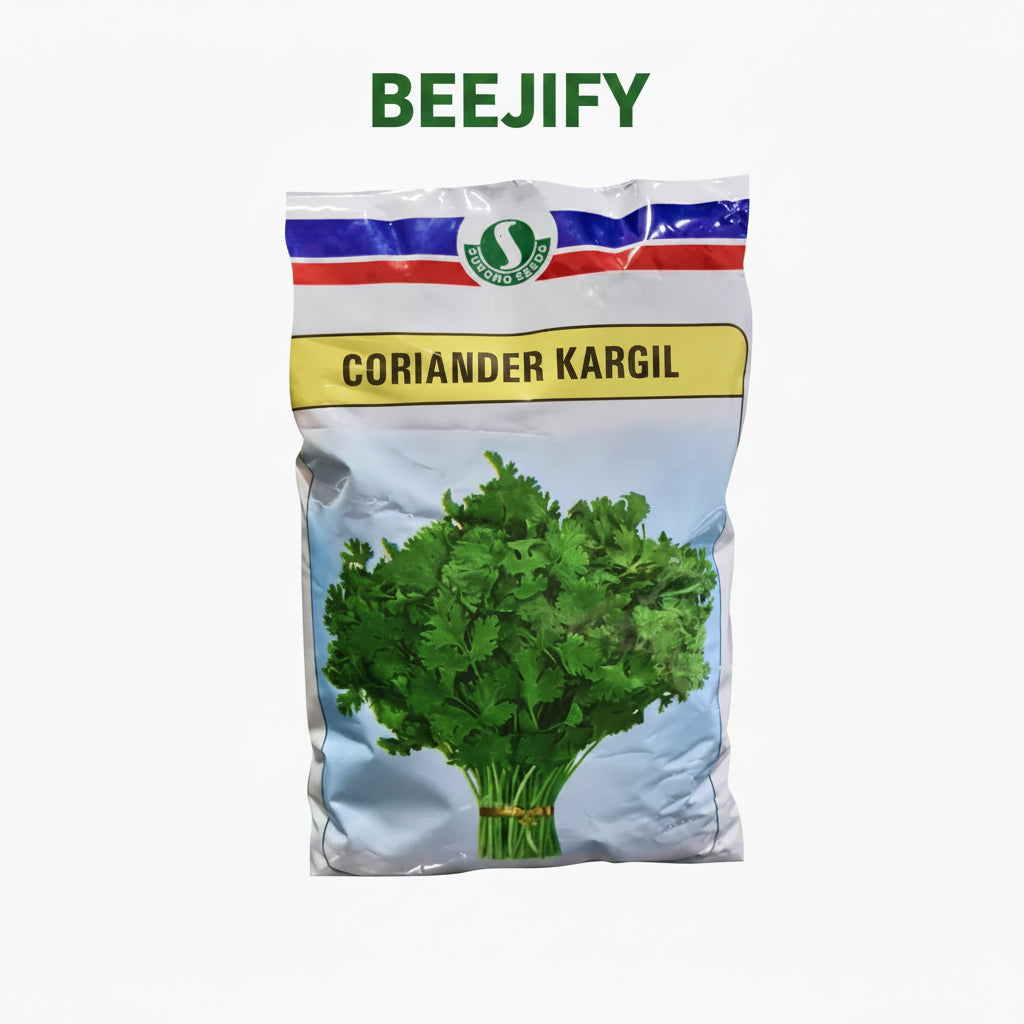 Sungrow Kargil coriander seeds 500gm high yield aromatic dhaniya seeds for farming in India