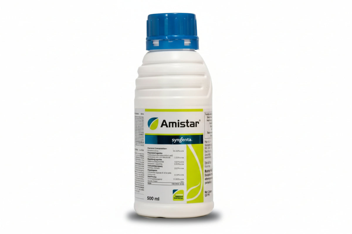 Syngenta Amistar Fungicide with Azoxystrobin for effective control of blast, sheath blight and leaf spot diseases in rice and vegetable crops with systemic action