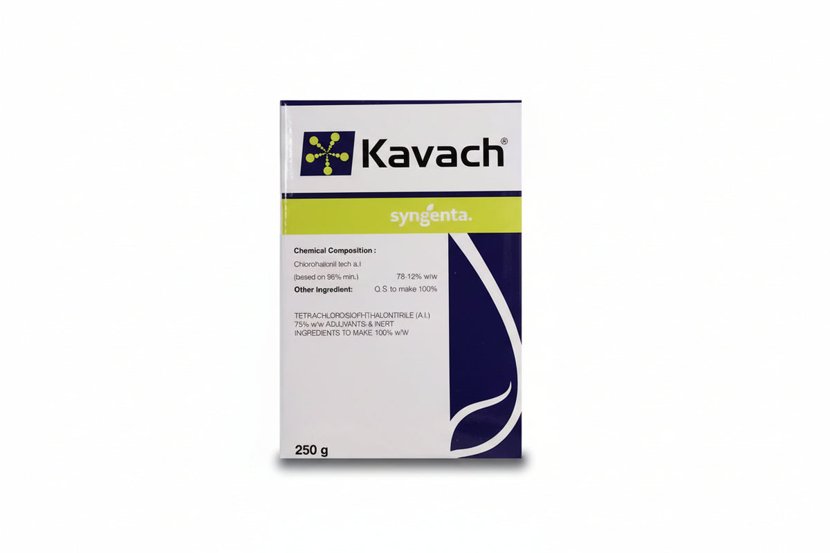 Syngenta Kavach Fungicide with Chlorothalonil for effective control of leaf spot, blight and rust diseases in vegetable and fruit crops with protective contact action