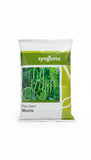 Syngenta Mucio green pea seeds high yield sweet tender pea variety for commercial farming and kitchen gardening India