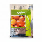 Syngenta TO 1057 F1 hybrid tomato seeds high yield round red tomato variety for commercial farming India