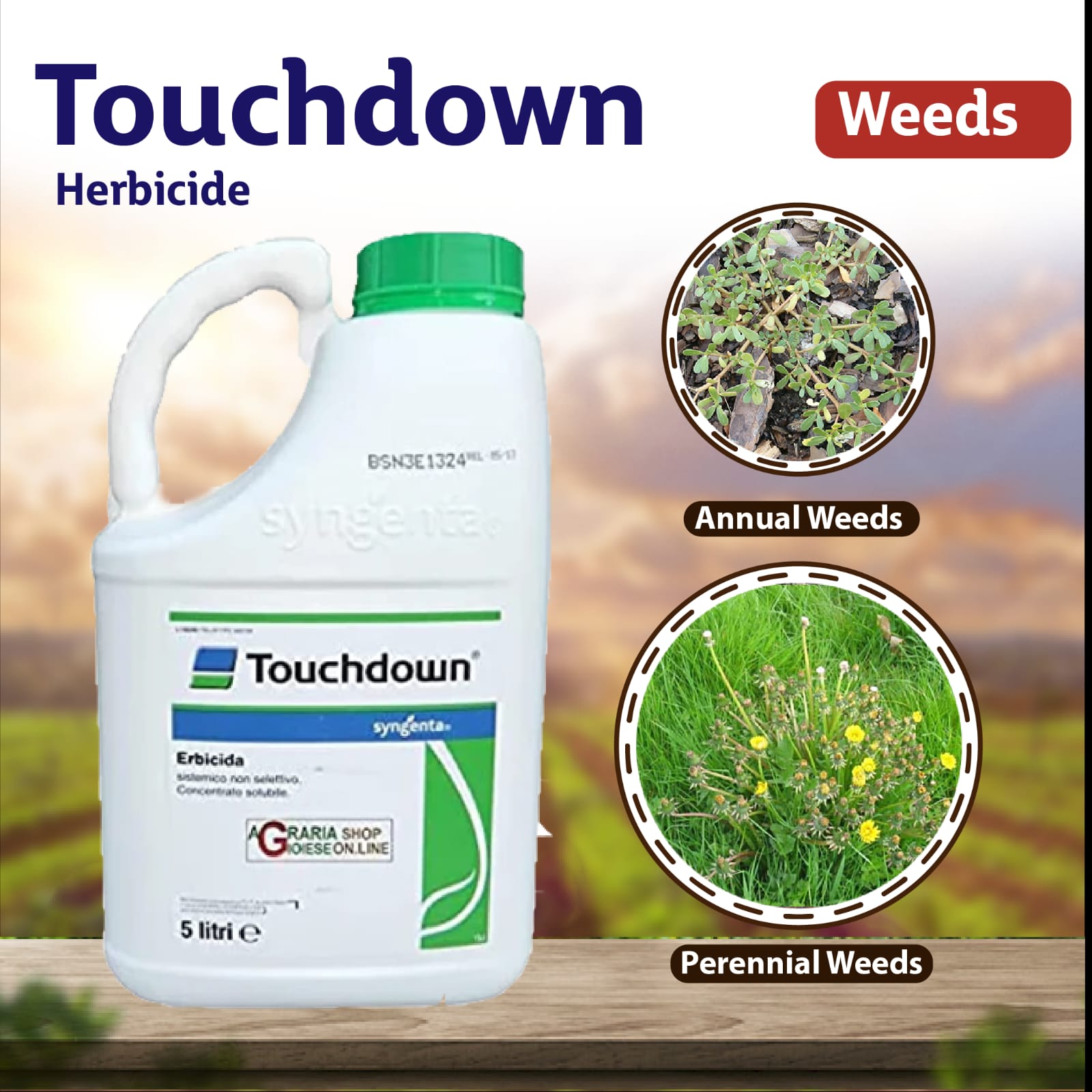 Syngenta Touchdown Herbicide with glyphosate for effective non-selective weed control in crop fields and non-crop areas with systemic action