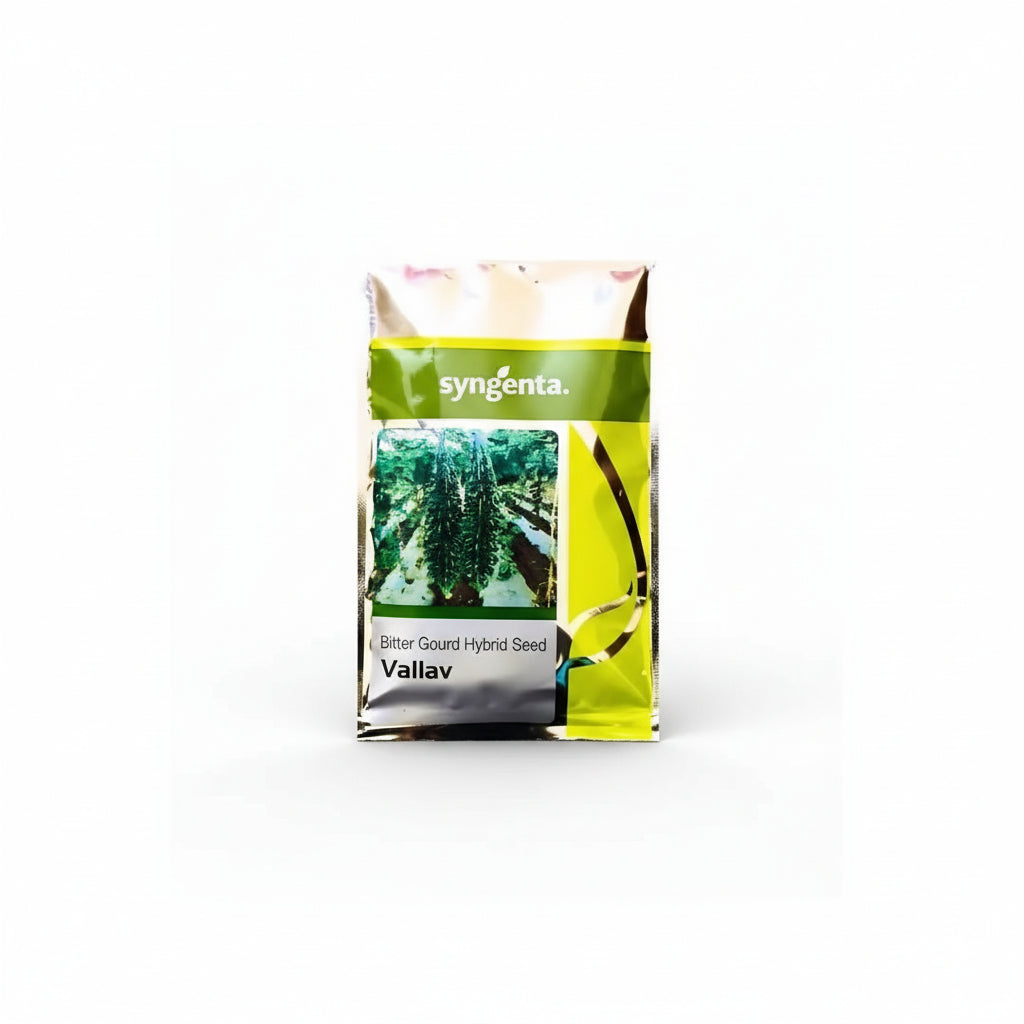 Syngenta Vallav bitter gourd seeds producing dark green uniform high yield karela fruits for commercial farming