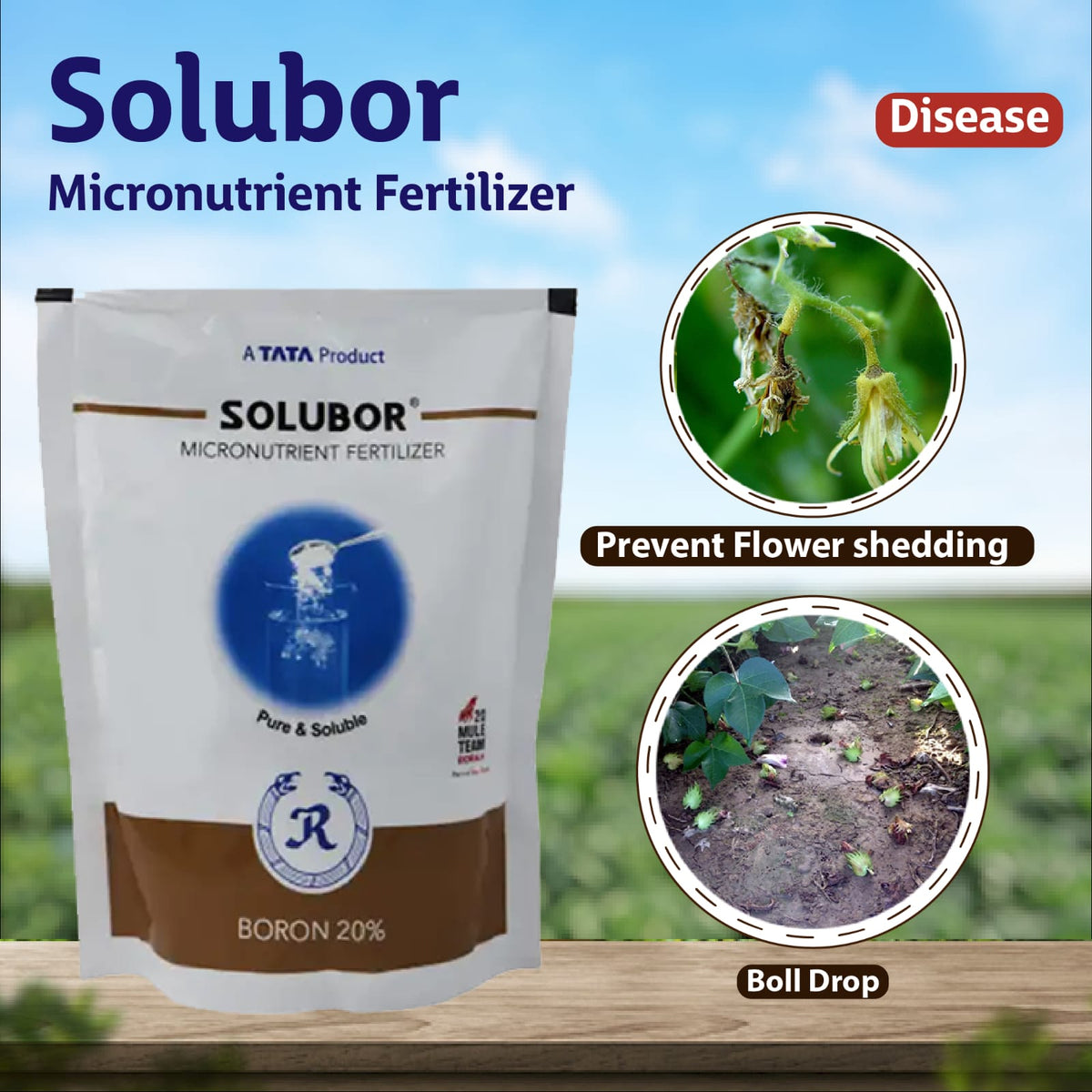 TATA Solubor micronutrient fertilizer for boron nutrition and healthy crop growth