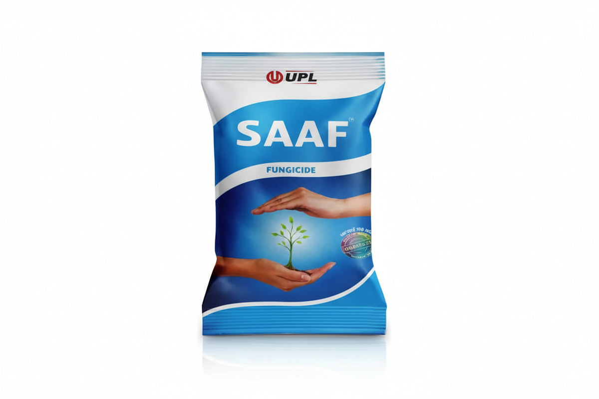 UPL SAAF Fungicide with Carbendazim and Mancozeb for effective control of leaf spot, blight, rust and fungal diseases in vegetable and fruit crops