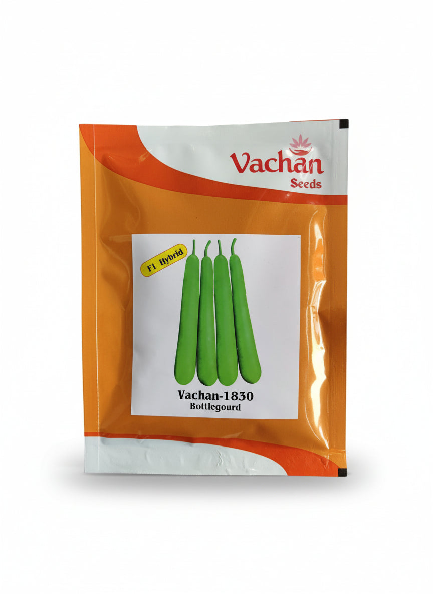Vachan 1830 F1 hybrid bottle gourd seeds high yield lauki seeds for farming and kitchen garden