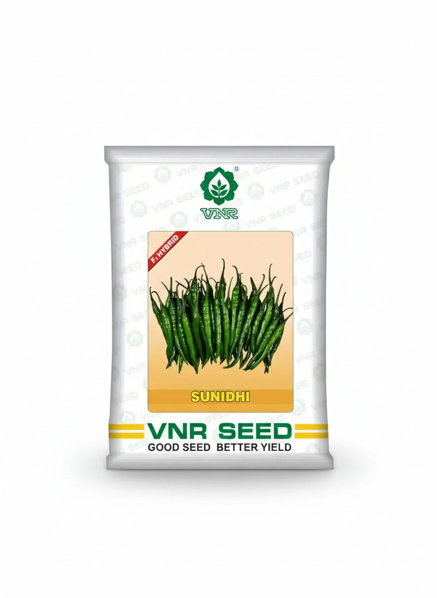 VNR Sunidhi F1 hybrid chilli seeds high yield spicy green mirchi variety for commercial farming India