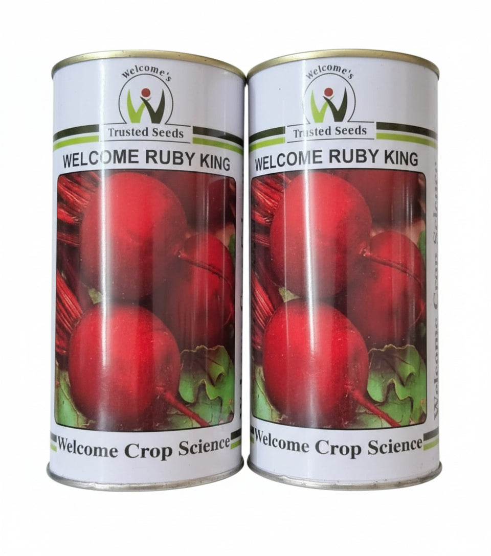 Welcome Rubey King Beetroot Seeds high yield deep red round beetroot seeds for farming and home gardening