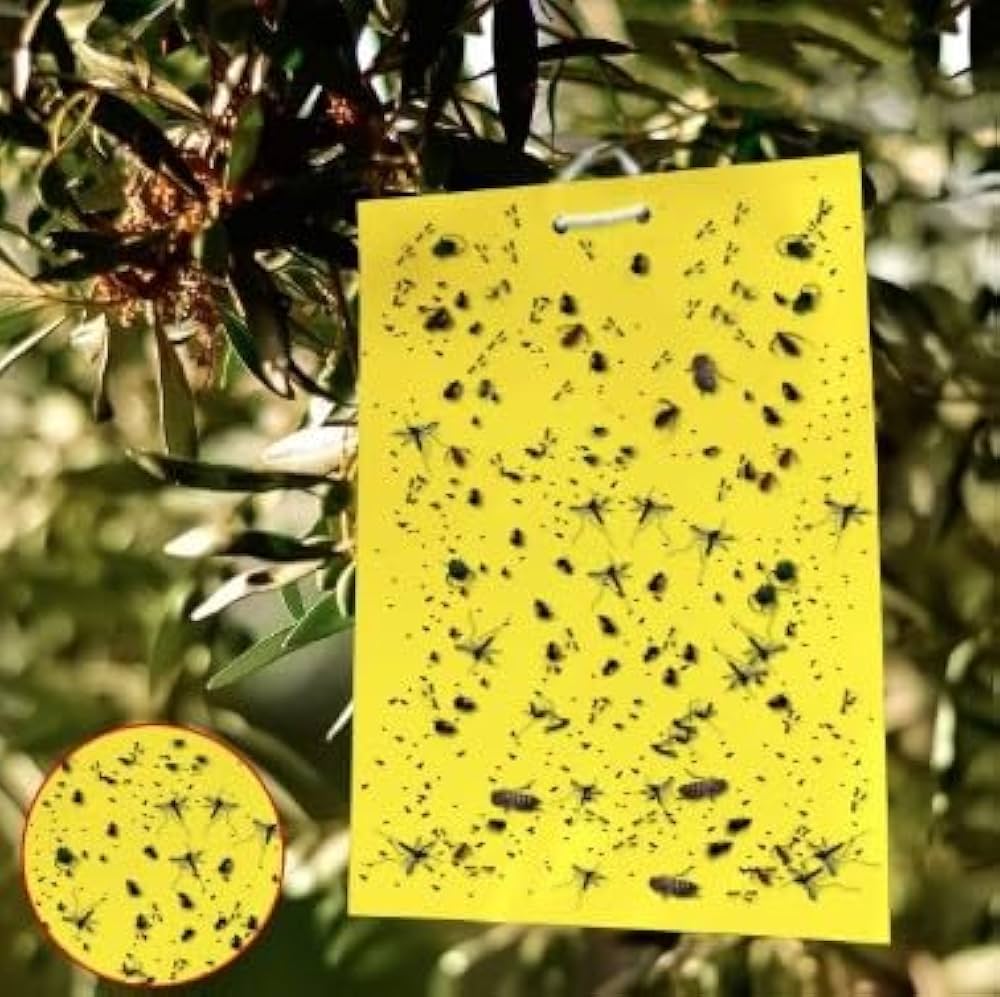 Yellow sticky trap A5 size for monitoring whiteflies, aphids, and flying crop insects